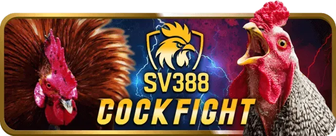 Bàn Dragon Tiger trực tuyến tại dg3